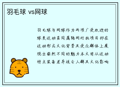 羽毛球 vs网球