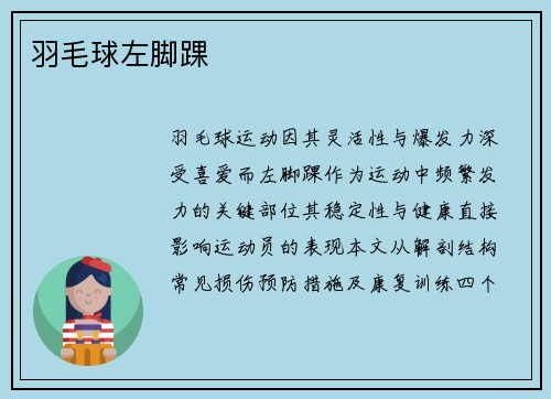 羽毛球左脚踝