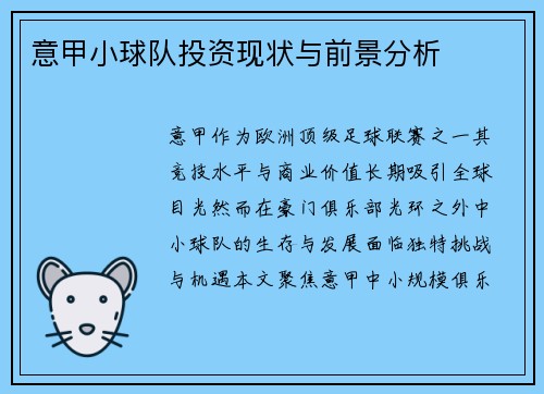 意甲小球队投资现状与前景分析